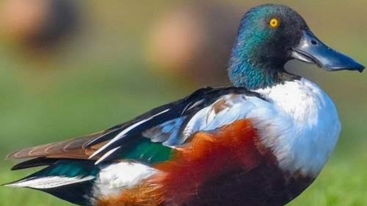 News Article Hero Image